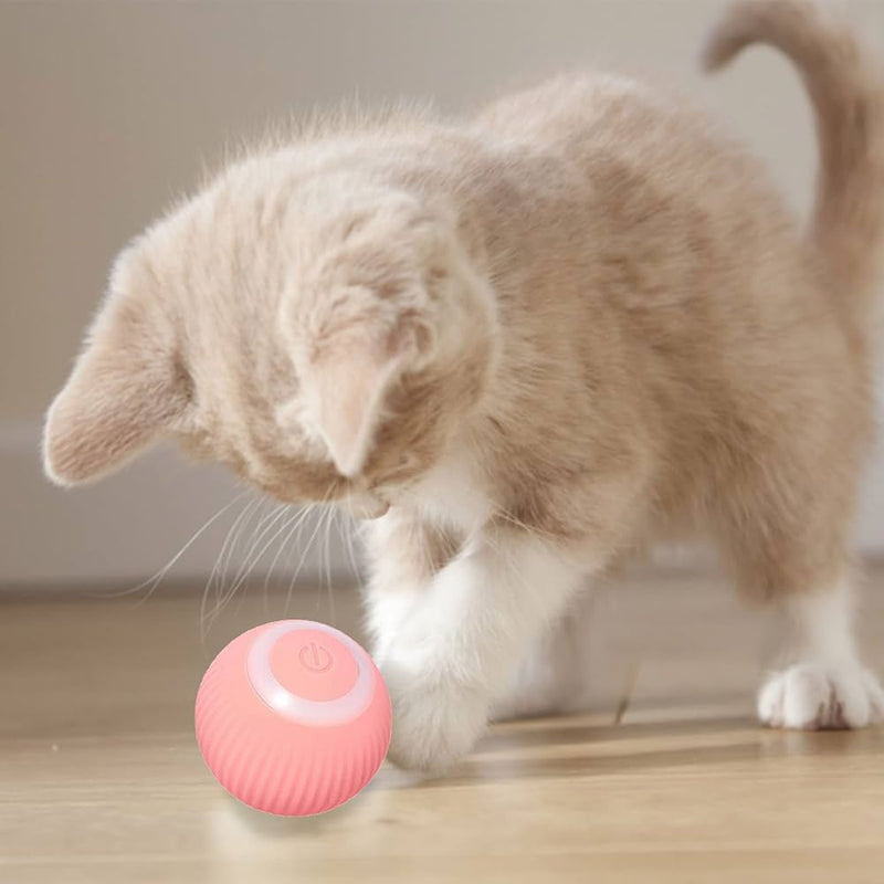 Bola maluca automática para cães e gatos