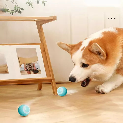 Bola maluca automática para cães e gatos