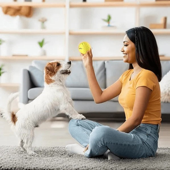 Bola maluca automática para cães e gatos